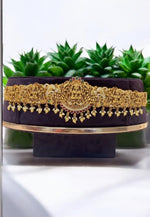 Load image into Gallery viewer, Beautiful hip belt 3D nakshi adult size -perfect for any occasion
