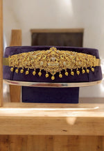 Load image into Gallery viewer, Beautiful 3D nakshi baby hip belt with guttapusalu hangings

